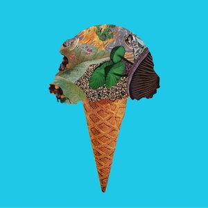 Immagine per 'Ice Cream Party'