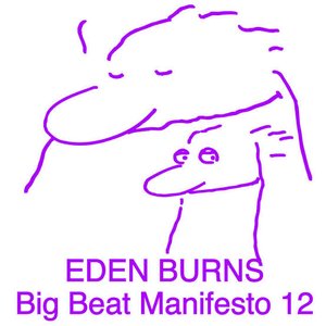 Bild für 'Big Beat Manifesto Vol. XII'