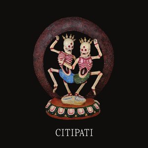 Image for 'Citipati'