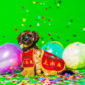 “上出来”的封面