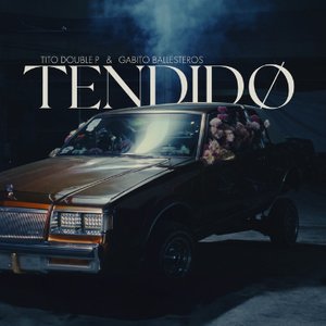 Image for 'TENDIDO'