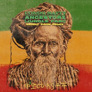 Bild für 'Ancestorz (Jungle Fari) [Benny Page Remixes]'