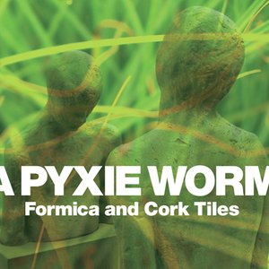 Immagine per 'A Pyxie Worm'