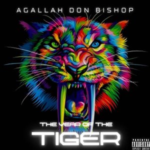 Image for 'The Year Of The Tiger'