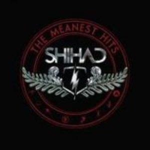 “The Meanest Hits”的封面