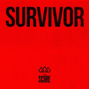 Image for 'Survivor'