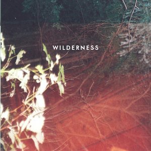 Image for 'WILDERNESS'