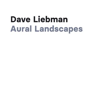 Image for 'Aural Landscapes'