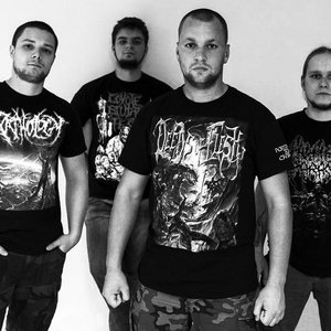 Bild für 'Bradi Cerebri Ectomia'