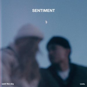 'Sentiment'の画像