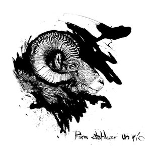 Image for 'Para Establecer Un Rio'