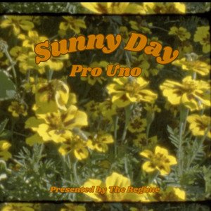 'Sunny Day' için resim