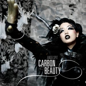 “Carbon Beauty”的封面