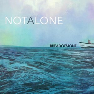 Bild für 'Not Alone'