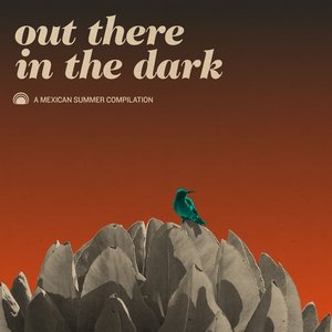 'Out There In The Dark - A Mexican Summer Compilation' için resim