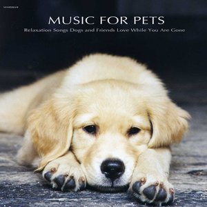 'Music for Pets - Relaxation Songs Dogs and Friends Love While You Are Gone' için resim
