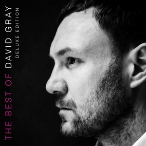 Изображение для 'The Best of David Gray'