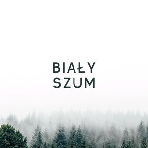 Image for 'Biały Szum'