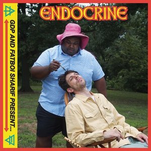 Image for 'ENDOCRINE'