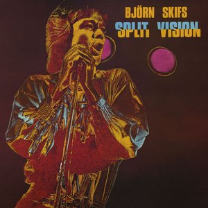 Image for 'Split Vision'