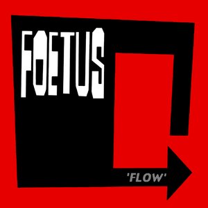 Image for 'Flow'