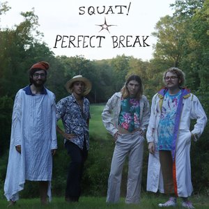 “Perfect Break”的封面