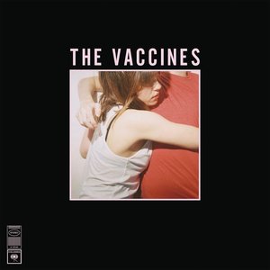 Image pour 'What Did You Expect from The Vaccines?'