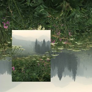 Image for 'Bioluminescence (Remixes)'