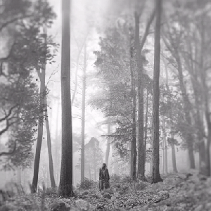 Image for 'folklore'
