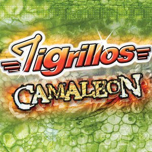 Image for 'Camaleón'