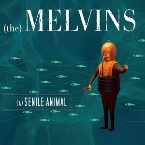 Изображение для '(A) Senile Animal'