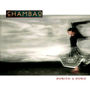 Image for 'Pokito a Poko'