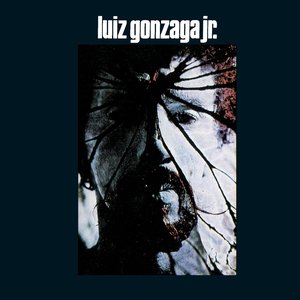 Image for 'Luiz Gonzaga Jr'