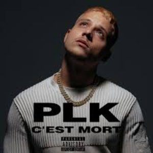 “C'est mort”的封面