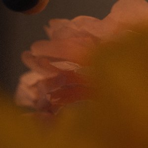 Image for 'Via'