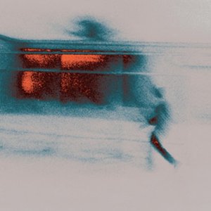 Image for 'WRONG BONES'