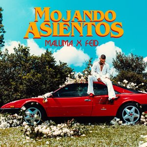 Immagine per 'Mojando Asientos (feat. Feid)'