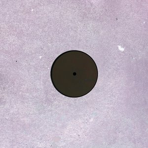 Image for 'Dustlick'