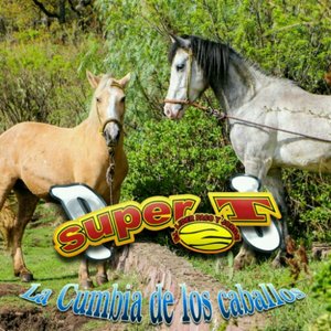 Immagine per 'La Cumbia de los Caballos'