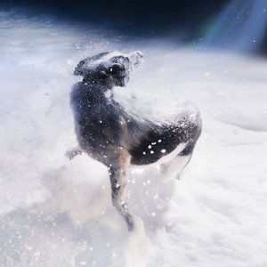 'I Won’t Let Me Down'の画像