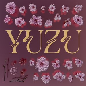 Image pour 'Yuzu'