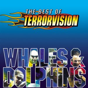 Image for 'Whales And Dolphins - The Best Of'