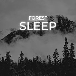 Image for 'Forest Sleep'