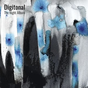 Image for 'The Night Album'