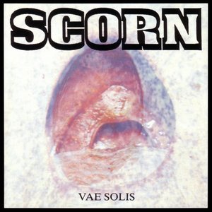 Image for 'Vae Solis'