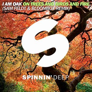 Imagem de 'On Trees and Birds and Fire (Sam Feldt & Bloombox Remix)'