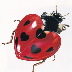 bellbugz