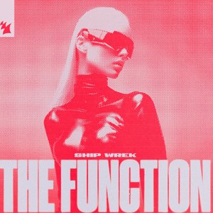 Image for 'The Function'