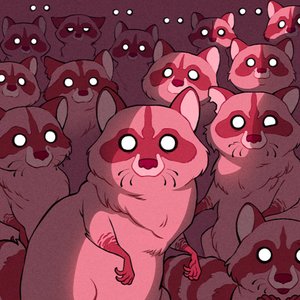 Image for 'Raccoon'