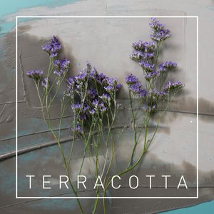 Изображение для 'Terracotta'